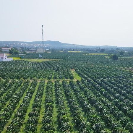Thảo Nguyên Xanh Lang Van Ke Exterior foto