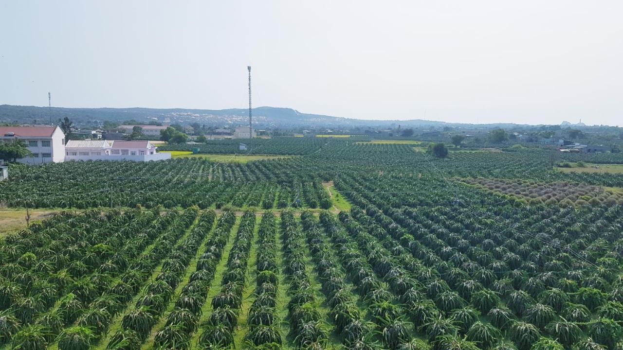 Thảo Nguyên Xanh Lang Van Ke Exterior foto